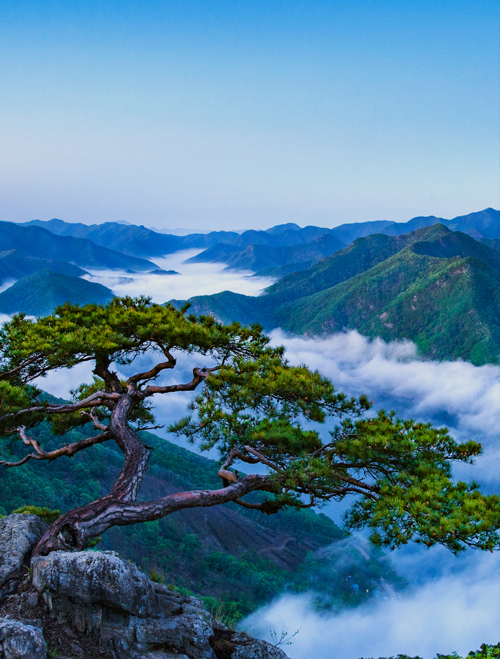 조합뉴스 이미지