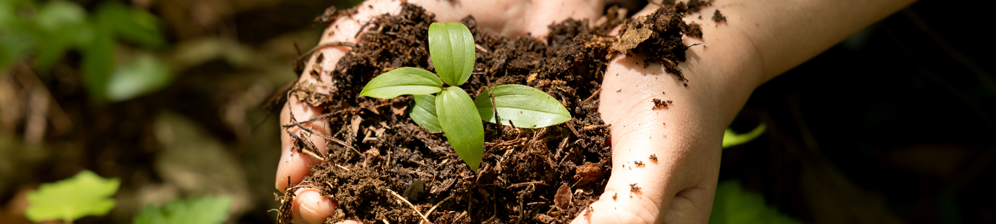 서브비주얼이미지