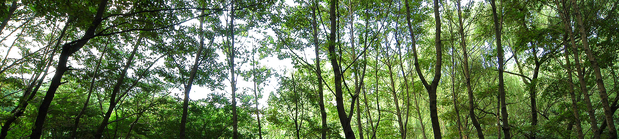 서브비주얼이미지