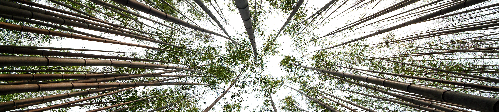 서브비주얼이미지